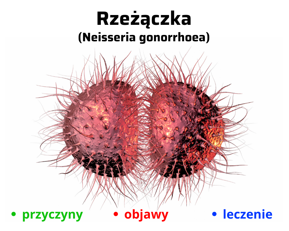 Neisseria gonorrhoea