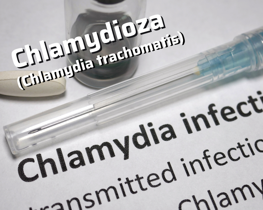 Chlamydioza